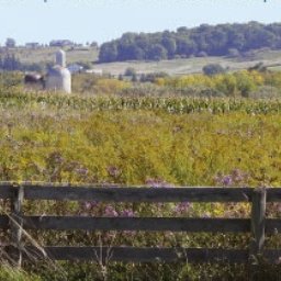 Farm fields and a split-rail fence, from the old Cericola Farms website banner
