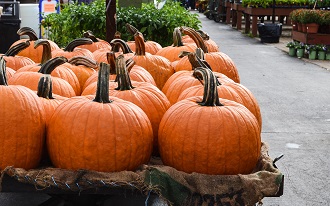 Healthy Living - Proudly supporting the Pumpkin Fest in the Town of Bradford, Ontario